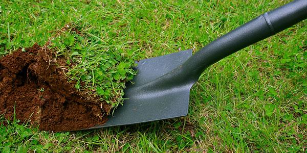 lawn excavation