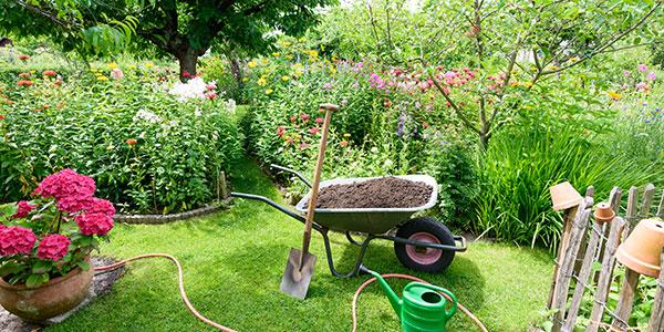 topsoil